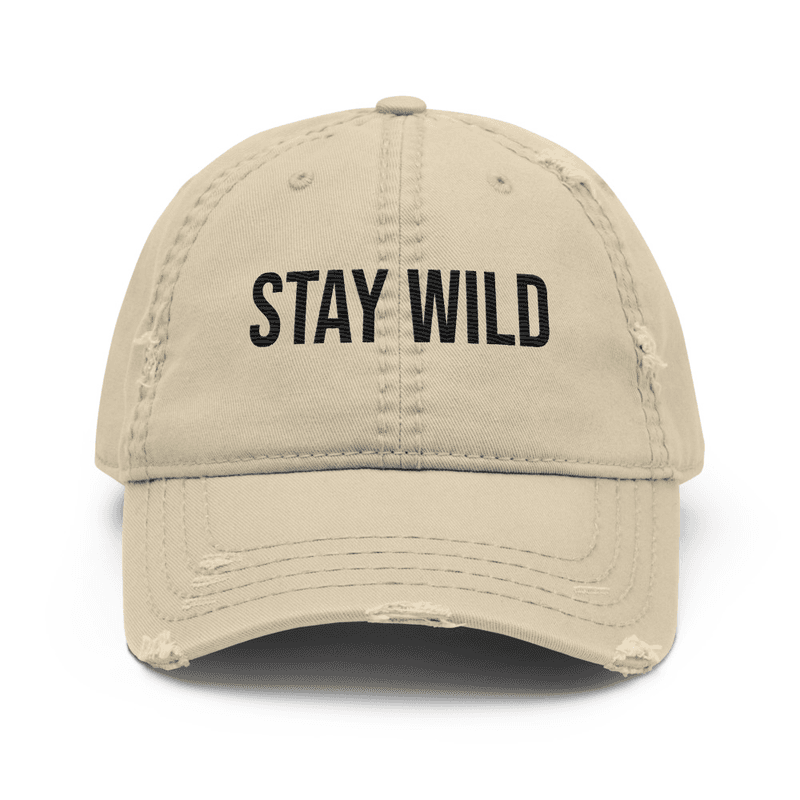Distressed Dad Hat — Khaki